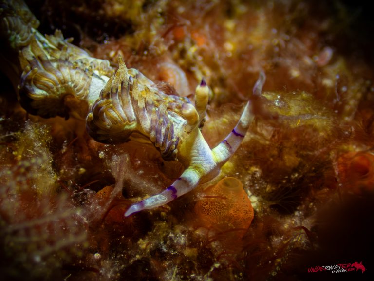 558496627_122134375844934599_3830315429832949532_n