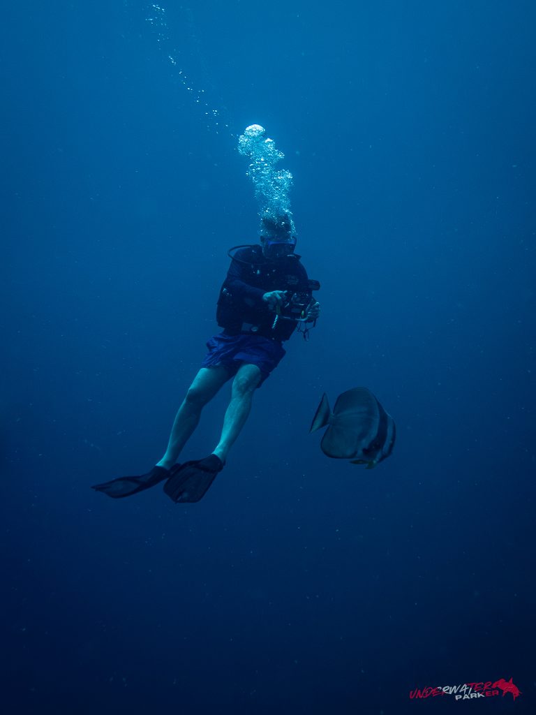 558851982_122134620614934599_7655244691943253919_n