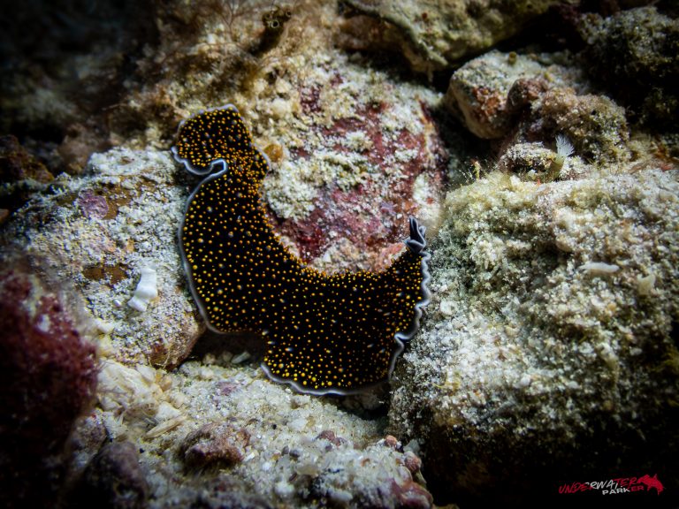 558873482_122134620926934599_4117464178453256457_n