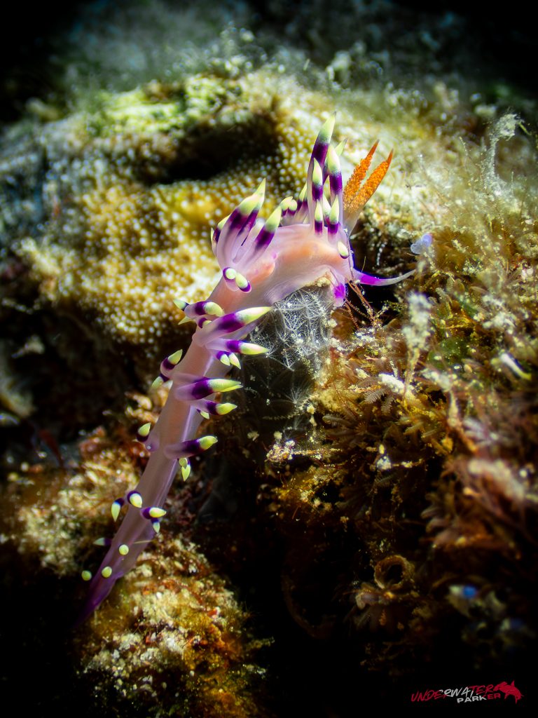 558921732_122134620806934599_5632342637221755778_n