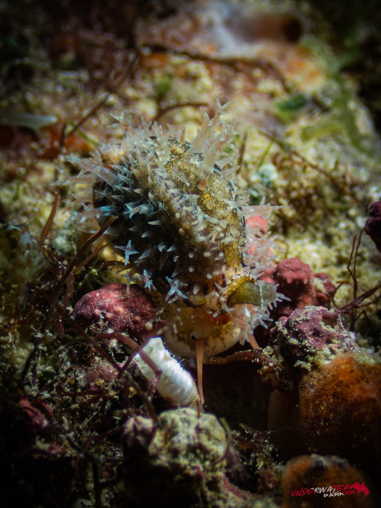 558924042_122134621064934599_4748153431551739387_n