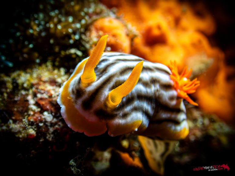 559003780_122134620674934599_8167316637448767994_n