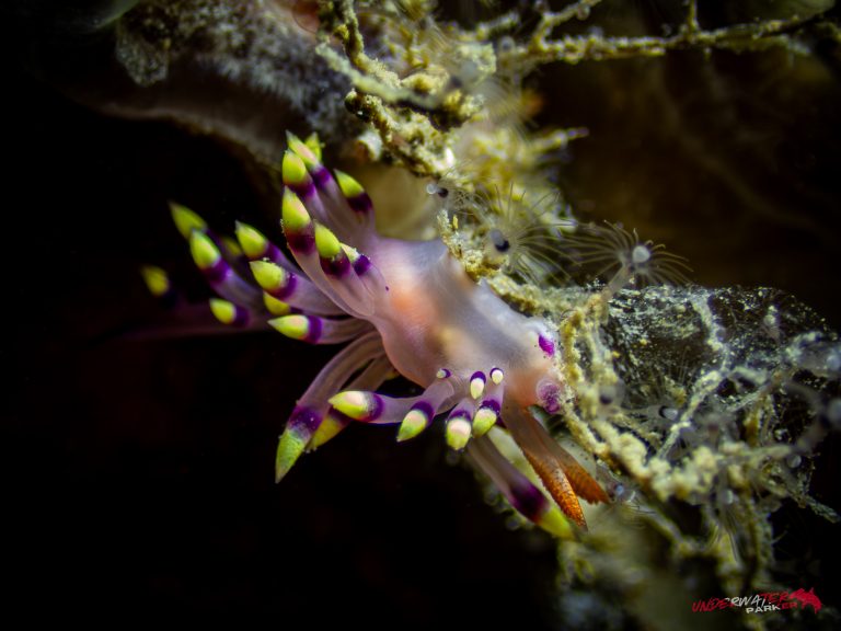 559013546_122134375670934599_482315710906050666_n