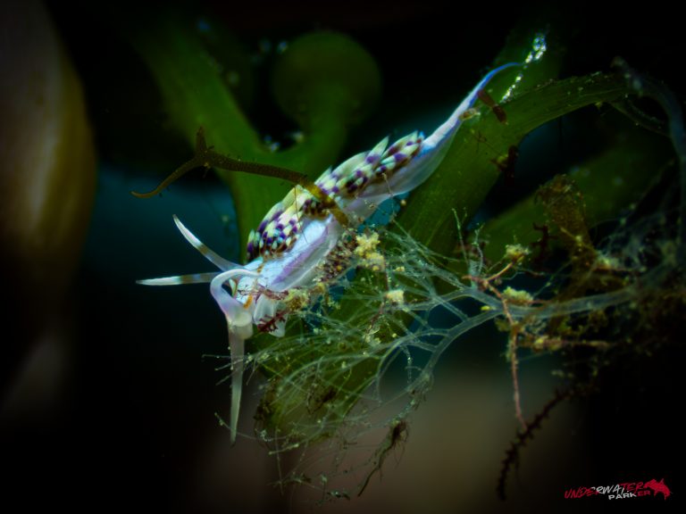 559027049_122134375778934599_3707241000455869304_n