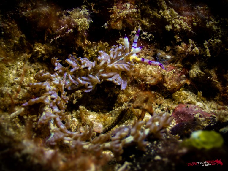 559145585_122134375982934599_7531089738481608425_n