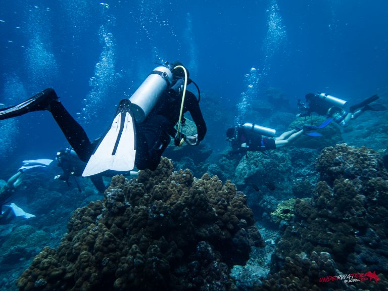 559146769_122134972982934599_4906037747197600165_n