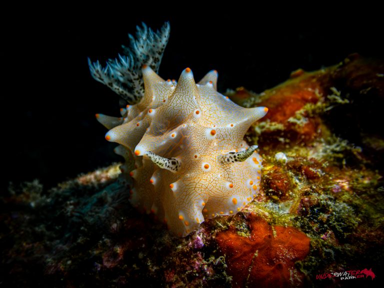 559175180_122134972904934599_8160662277151114515_n