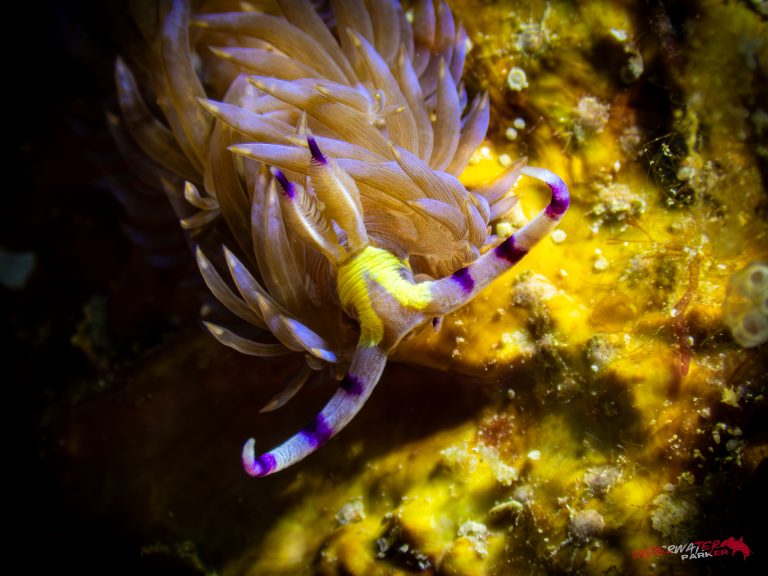 559378623_122134620752934599_3950463933981286946_n