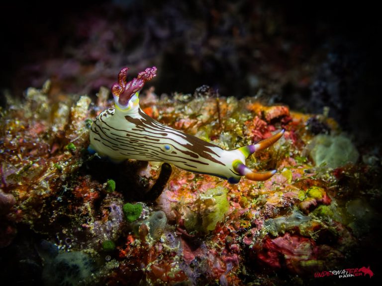 559586176_122134972934934599_102333390008332953_n