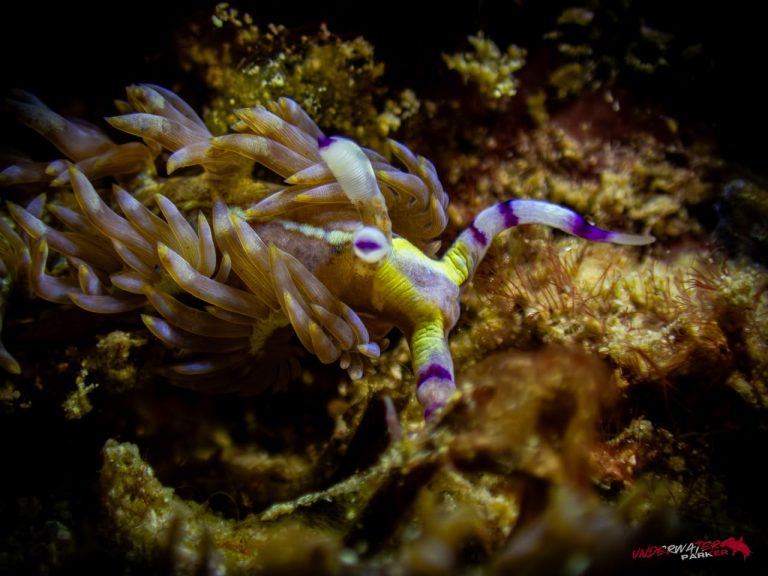 559751973_122134375958934599_3198837352939289629_n