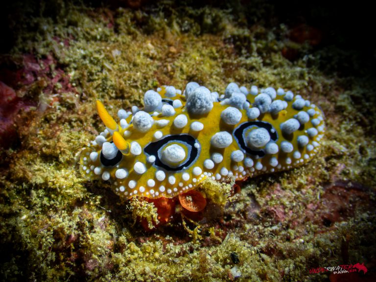 559852497_122134973120934599_2747533642487059252_n