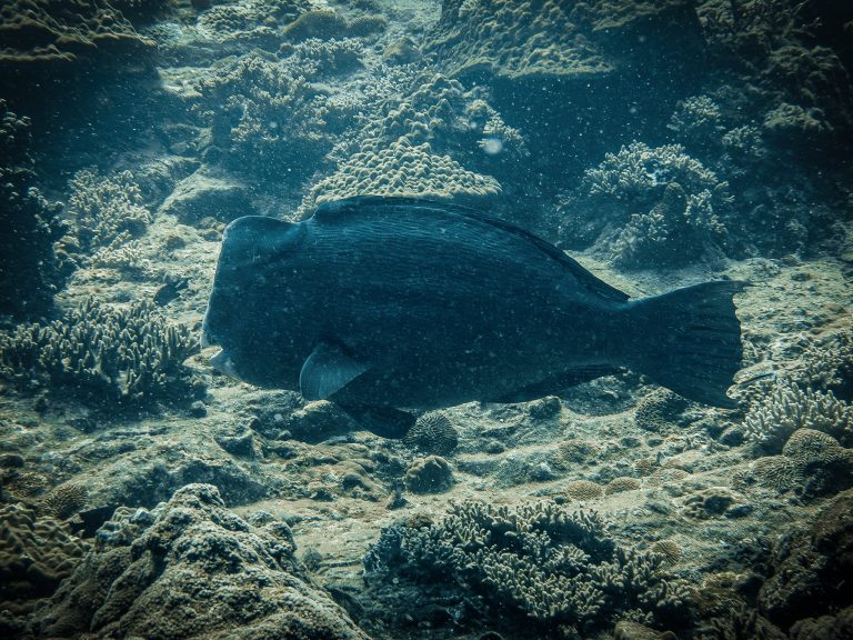 559930926_122134973066934599_2482594729471825470_n