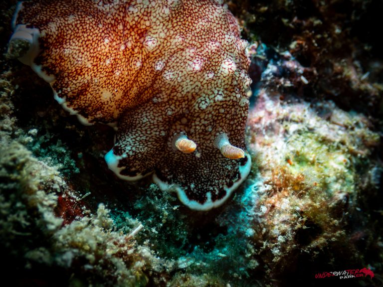 560022013_122134620410934599_569739702254780605_n