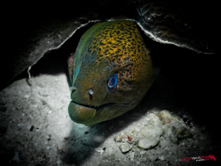 560067613_122134620368934599_2251176726760243145_n