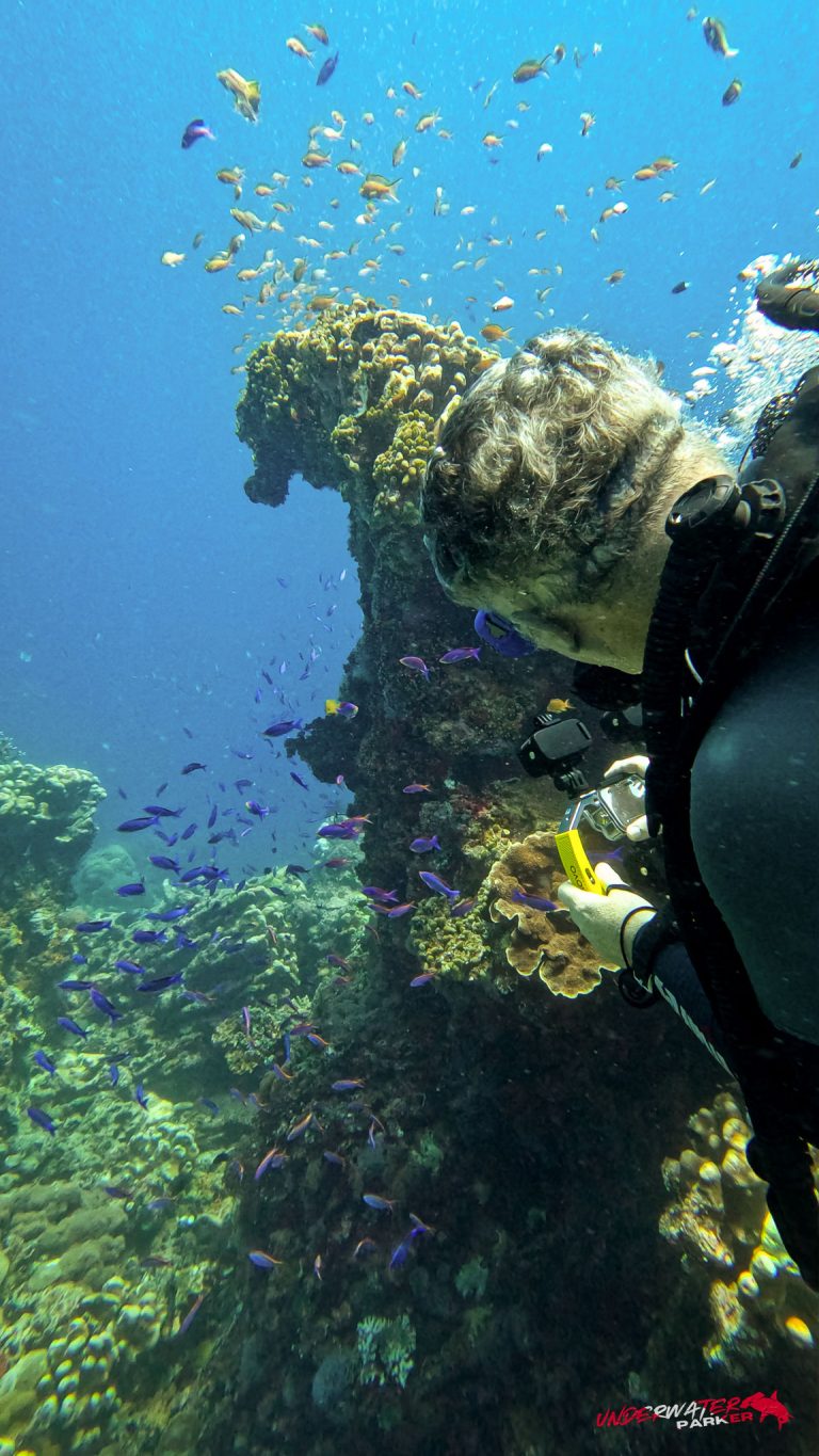 Underwater Parker – Dauin-028