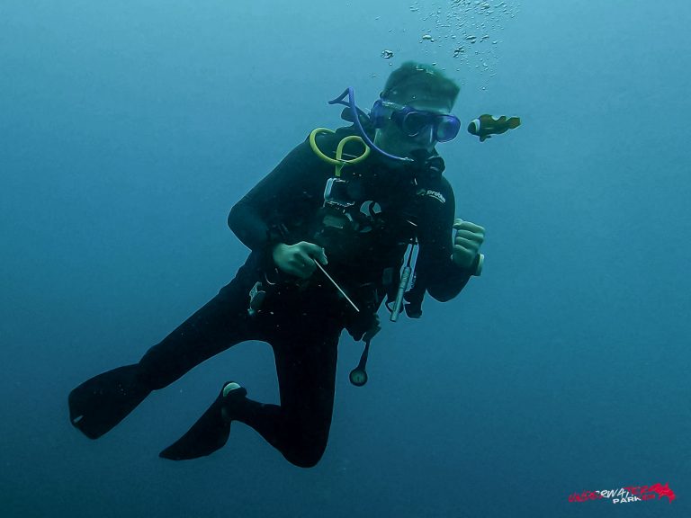 A clownfish darting towards Rick Parker (Underwater Parker) while guarding its nest during a dive.