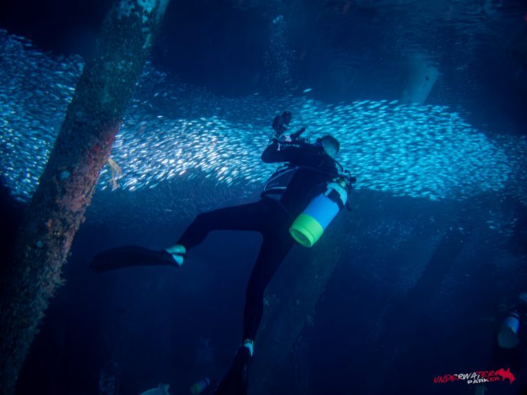 Okinawa Scuba Diving34