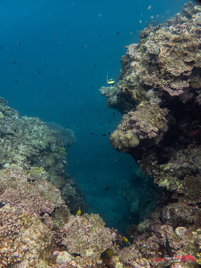 Okinawa Scuba Diving39