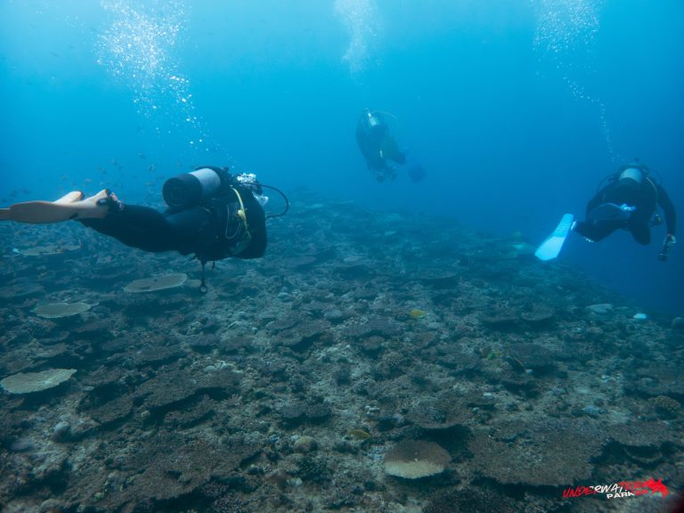 Okinawa Scuba Diving41