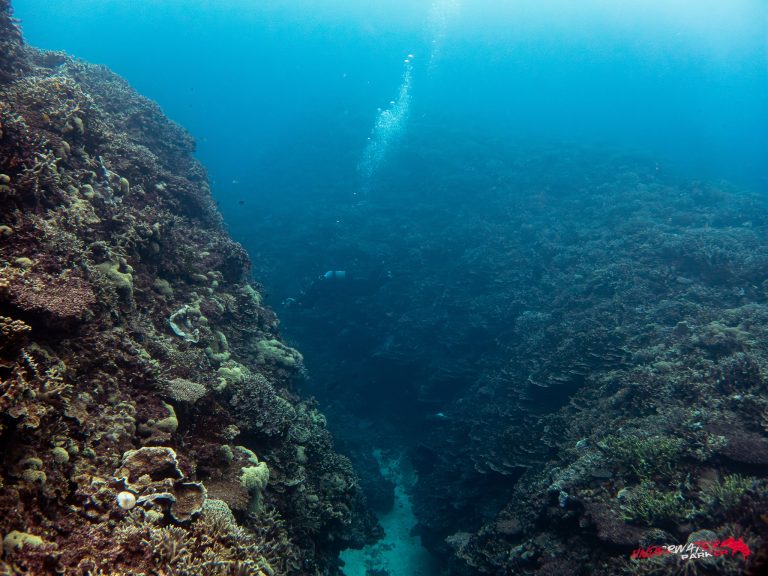 Okinawa Scuba Diving43