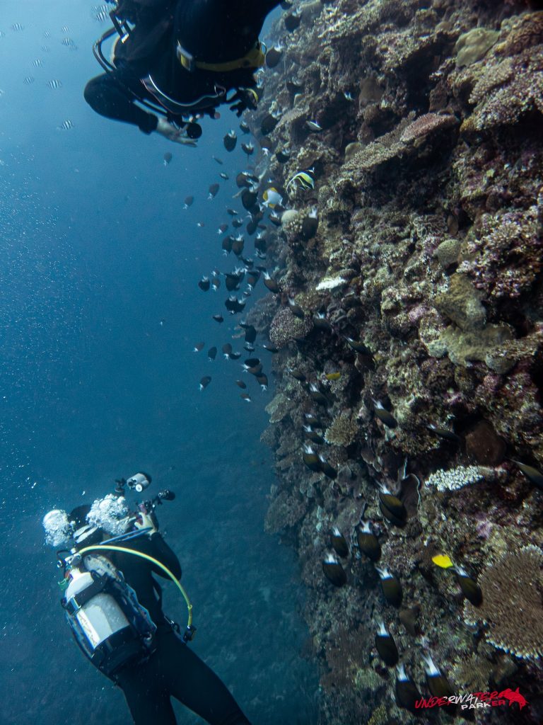 Okinawa Scuba Diving45