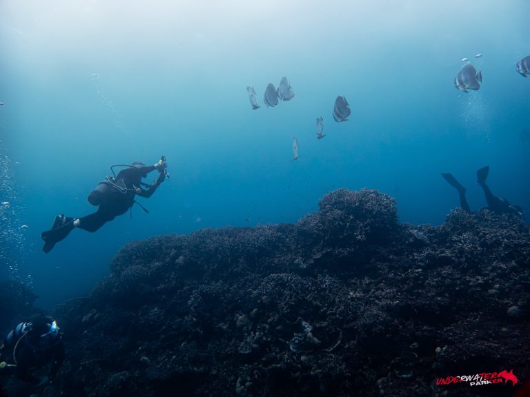 Okinawa Scuba Diving51